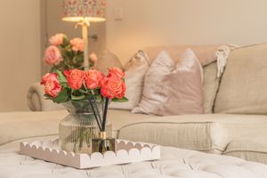 Photo 5- click for photo gallery